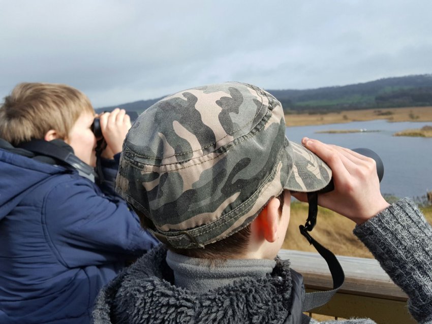 Image of Year 7 Trip to Leighton Moss